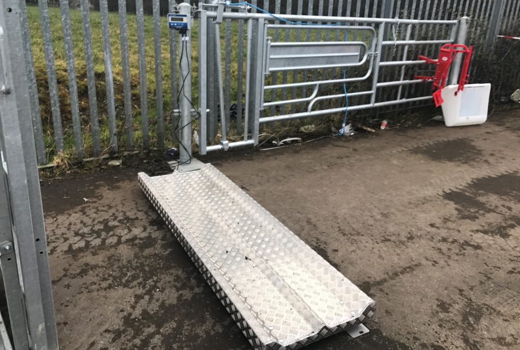 If you don't have a scales, you can hire one from your local mart
