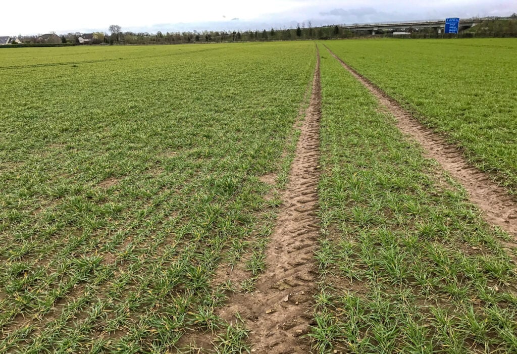 Pixel to the left of the tramline and Craft to the right of the tramline
