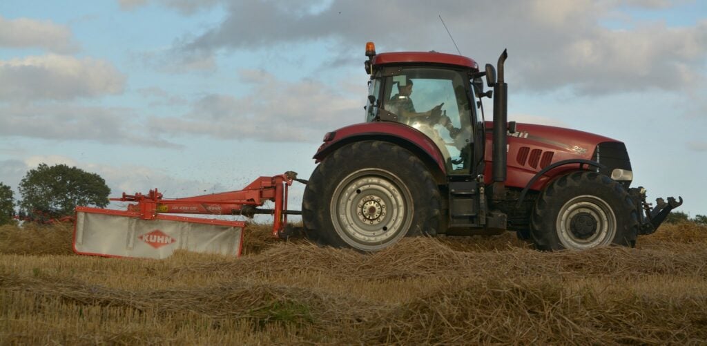 Image source: Shane Casey