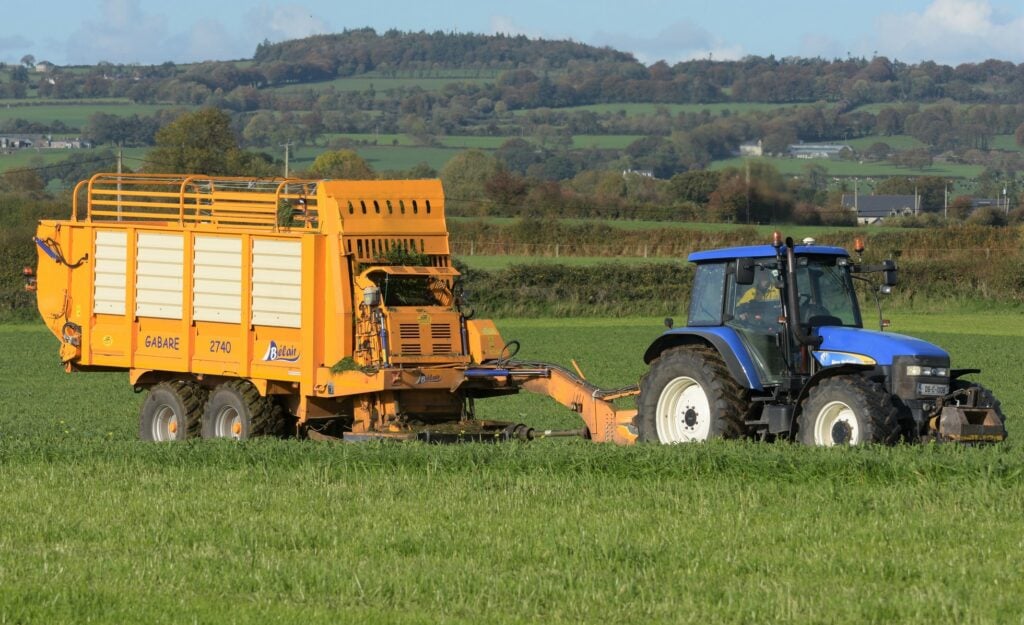 Image source: Shane Casey