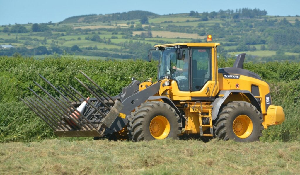 Image source: Shane Casey