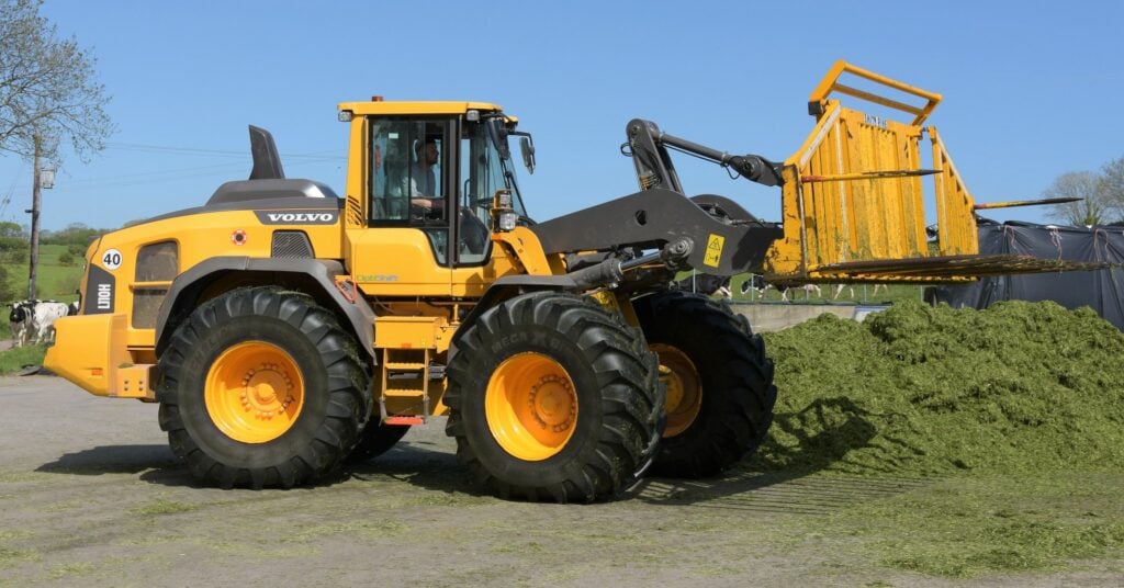 Image source: Shane Casey