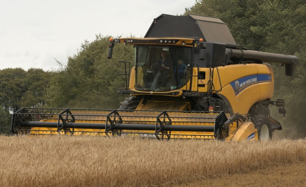 Image source: Shane Casey