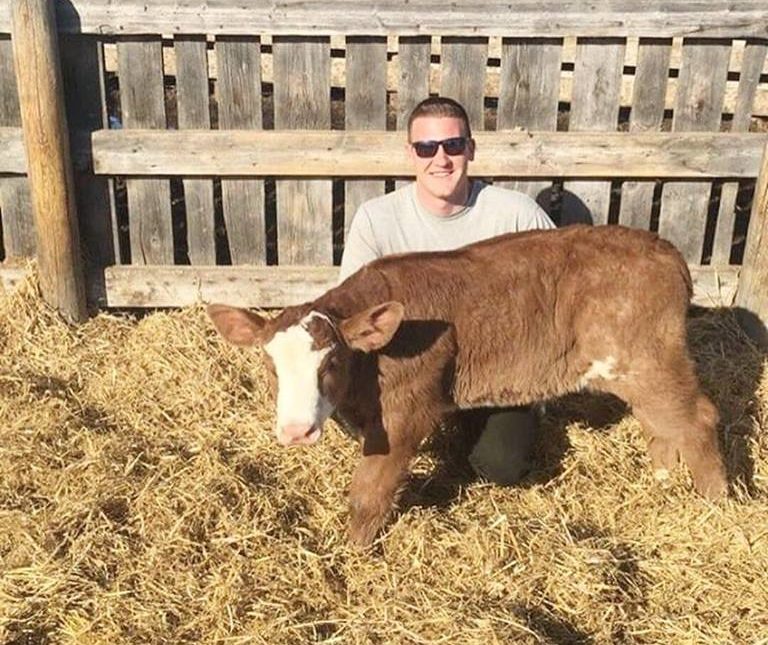 Image source: Westlock Veterinary Center Facebook page