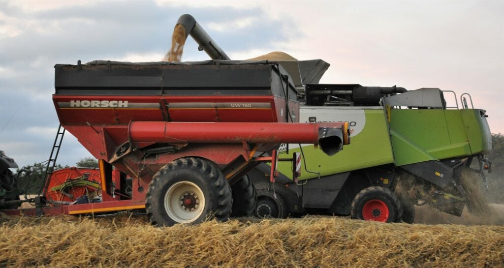 Image source: Shane Casey