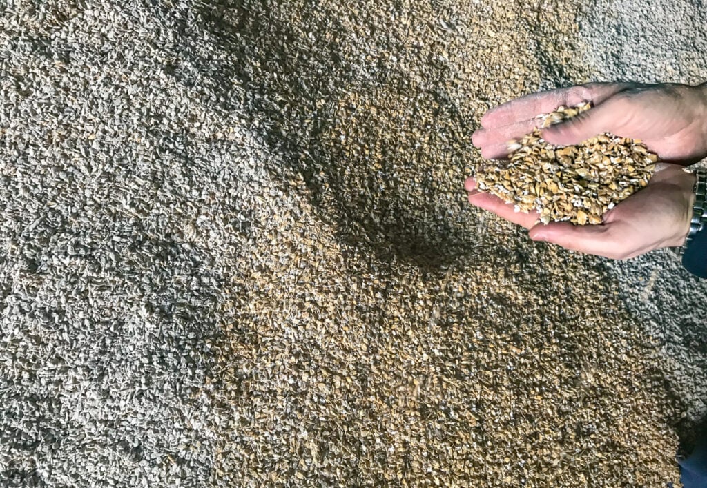 Treated barley for animal feed at Loughran’s Stores