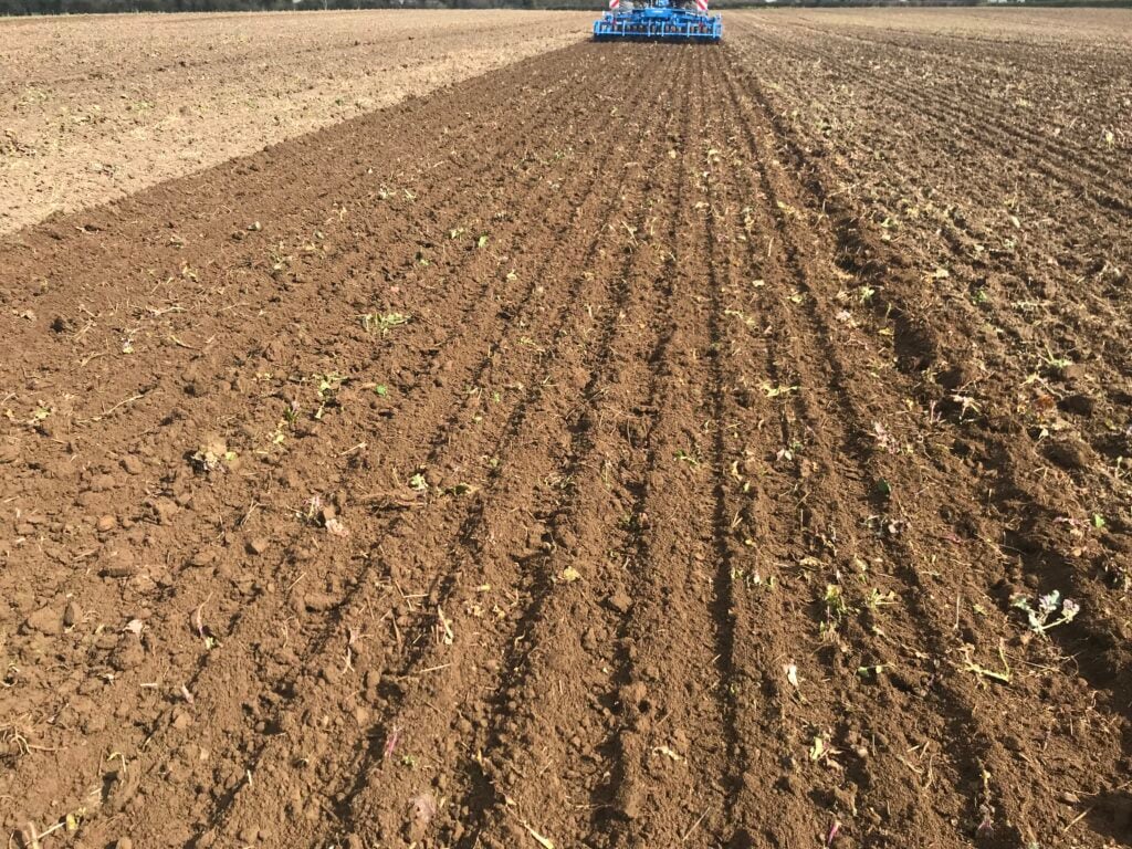 The seedbed left after the Karat 9