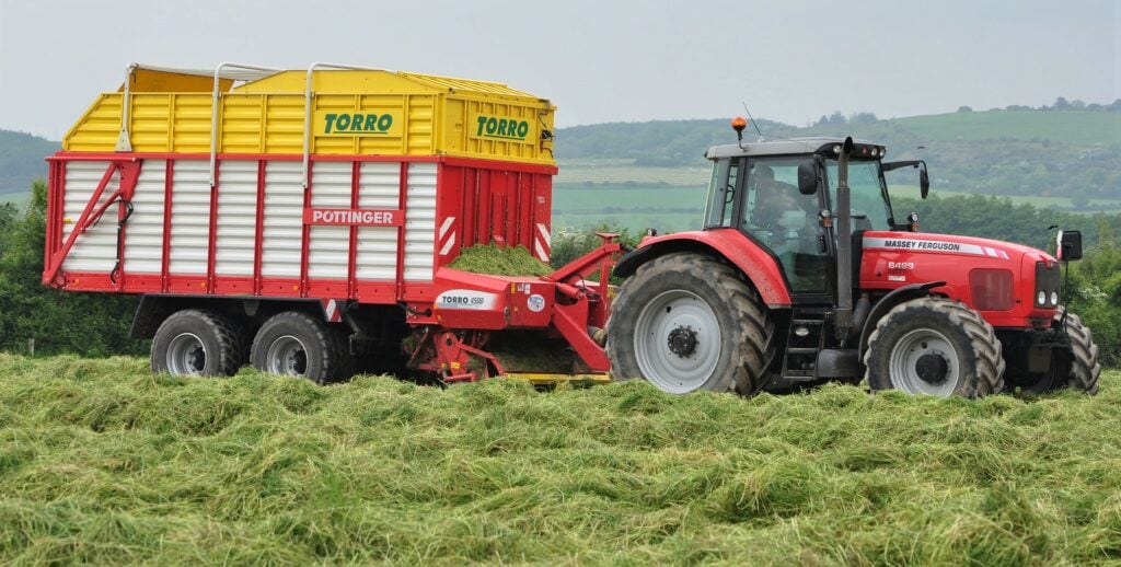 Image source: Shane Casey