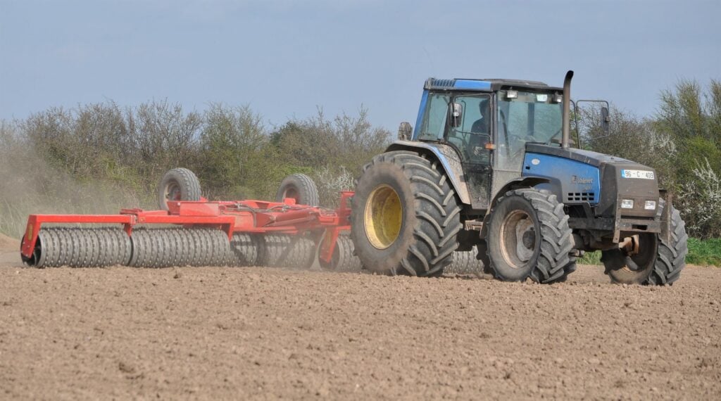 Image source: Shane Casey