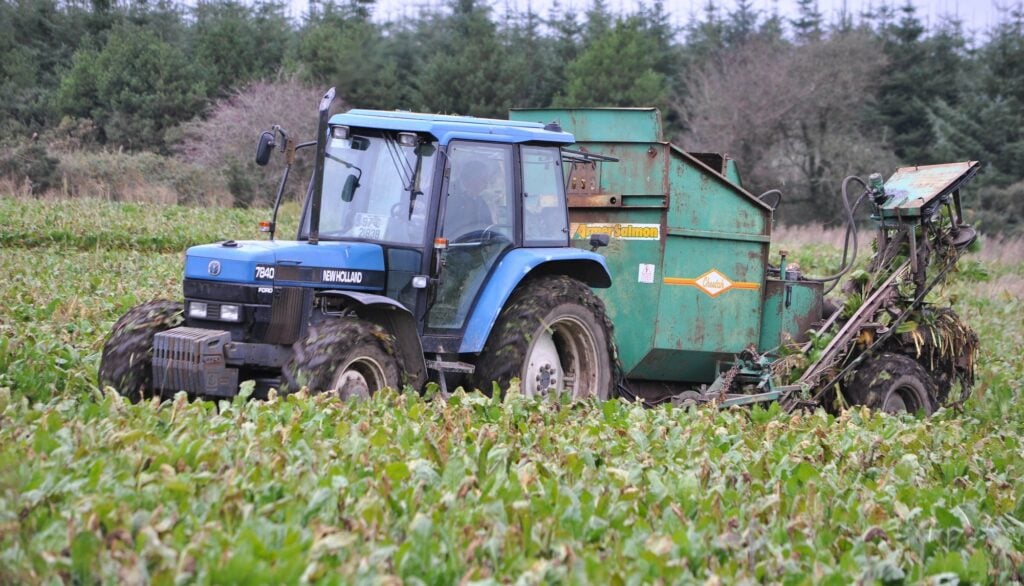 Image source: Shane Casey