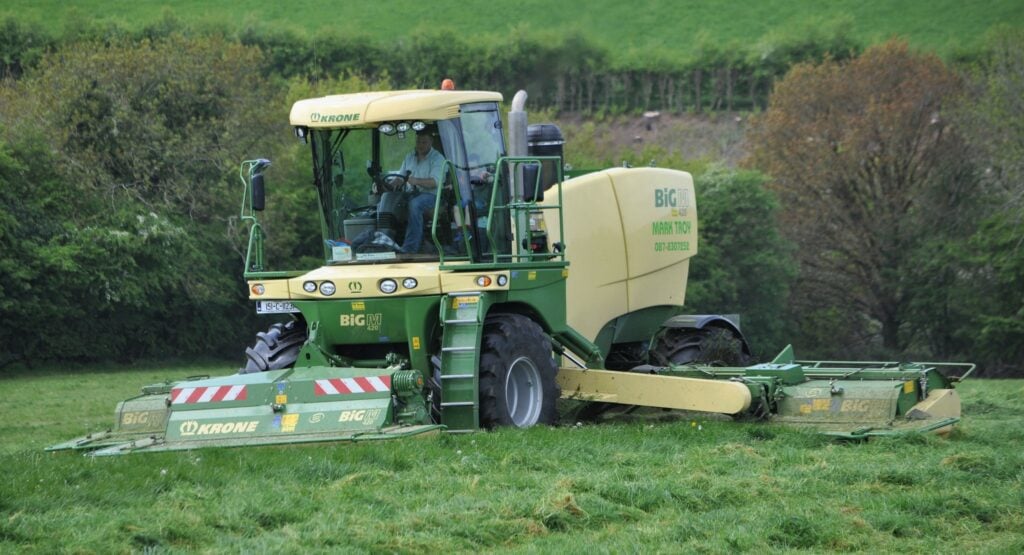 Image source: Shane Casey