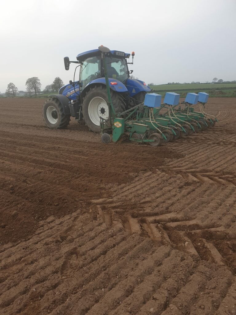 Tynan Brothers planting beet