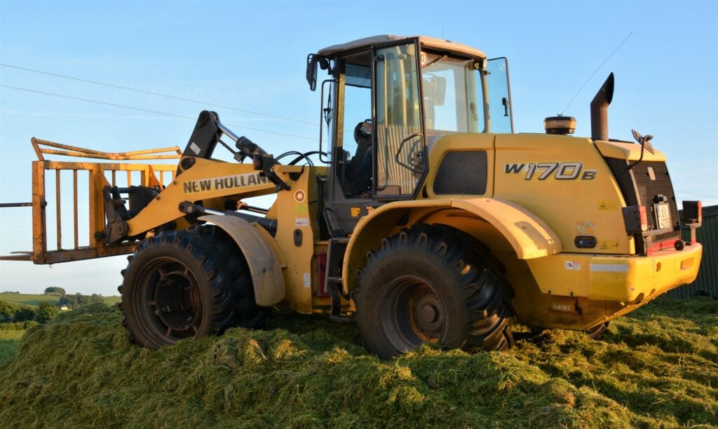 Image source: Shane Casey