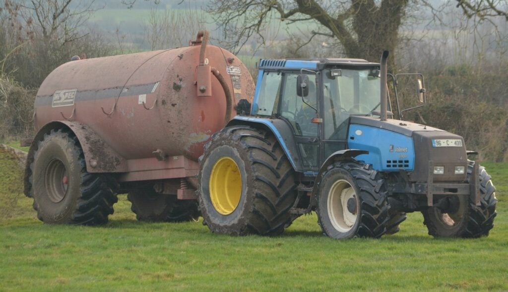 Image source: Shane Casey