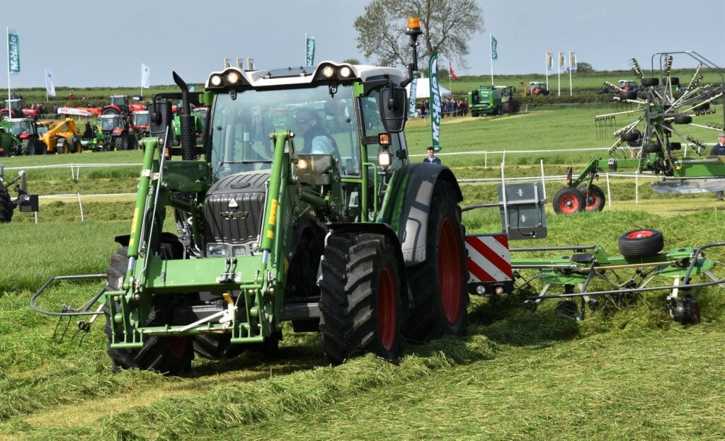 Image source: Shane Casey