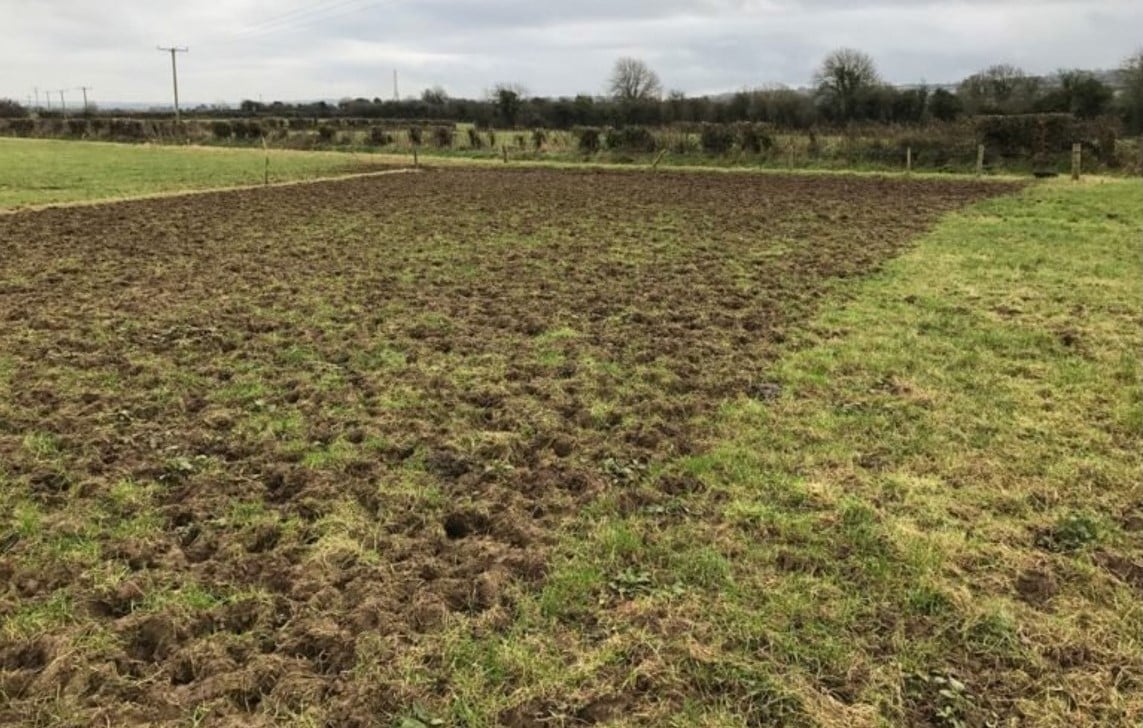 Grass that has been poached