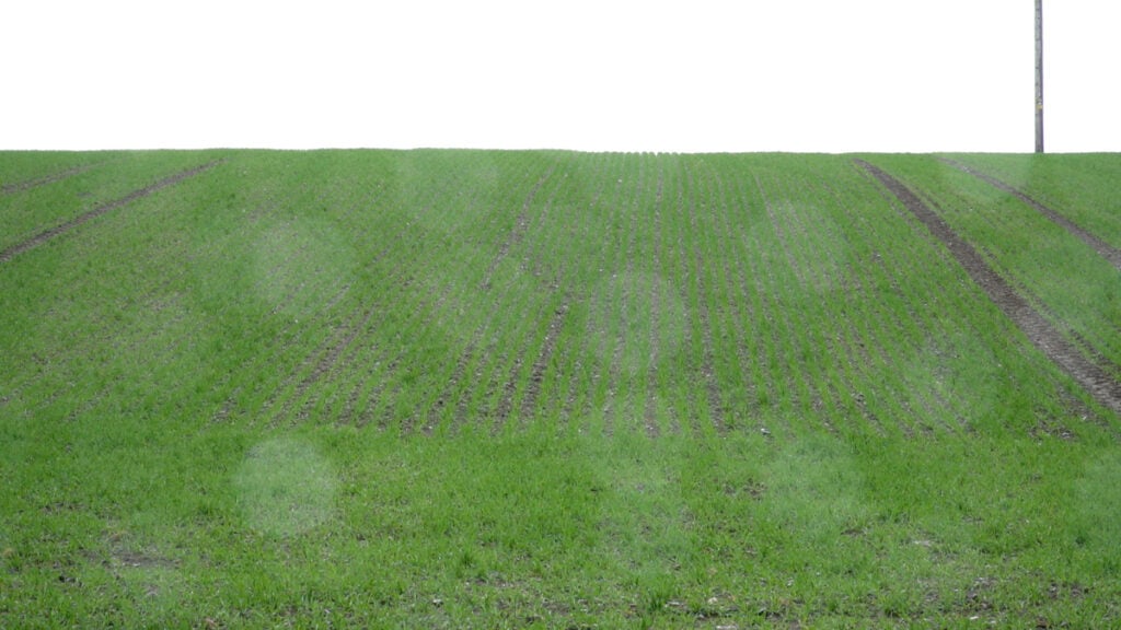 Harsh weather conditions were tough on crops in early April