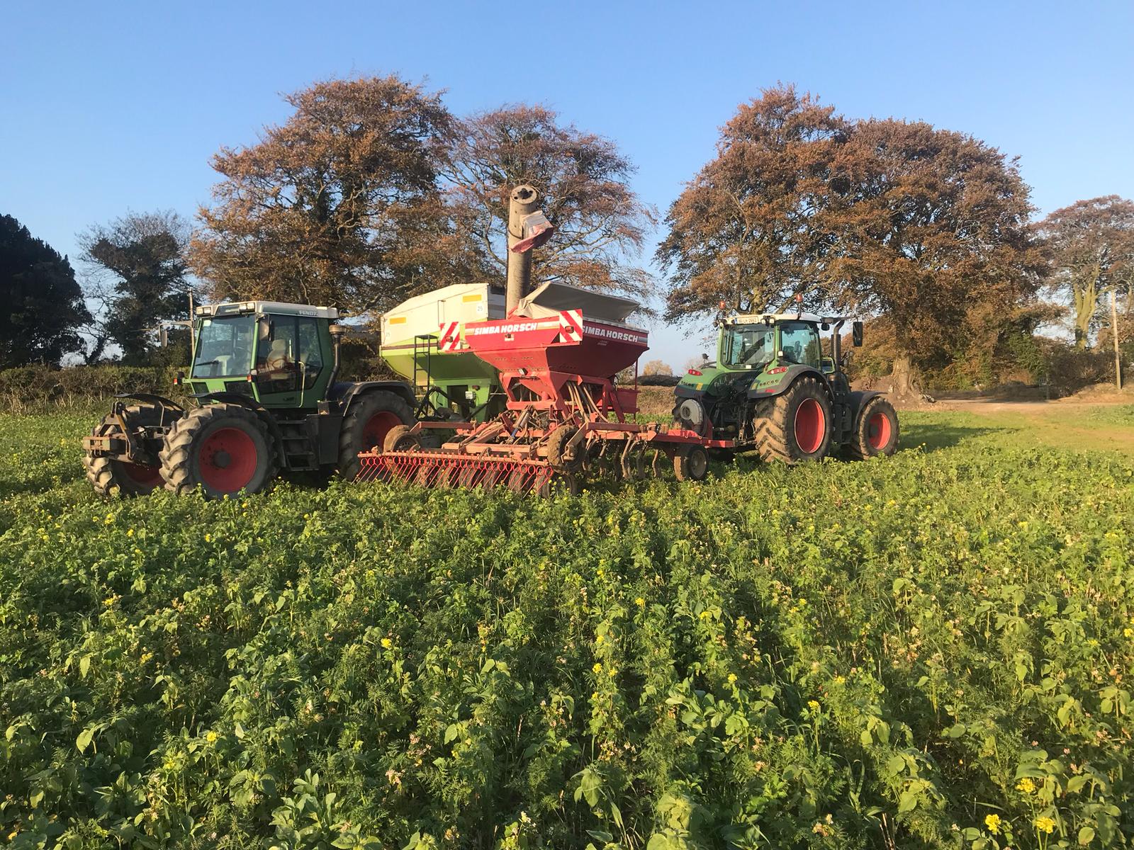 Filling the seed drill in Co. Louth