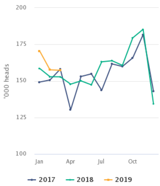 Cattle slaughterings. Image source: CSO
