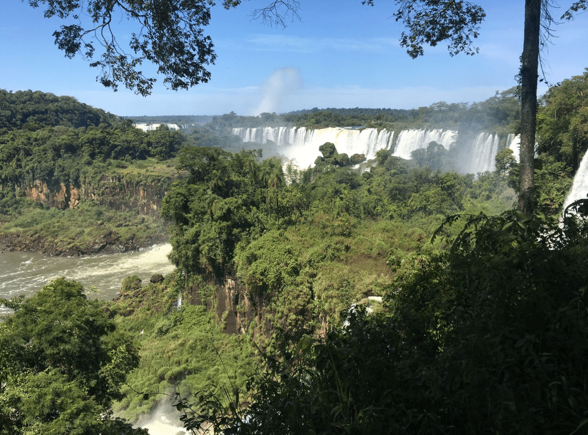 Deforestation remains a major threat for Brazil’s rainforests
