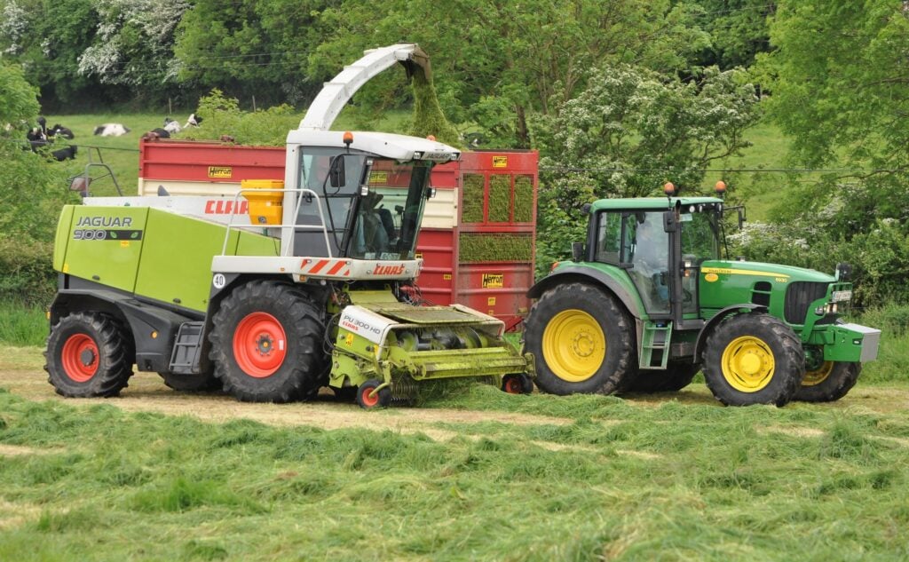 Image source: Shane Casey