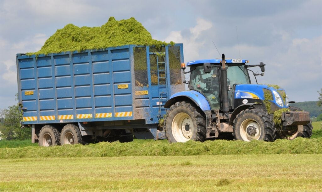 Image source: Shane Casey