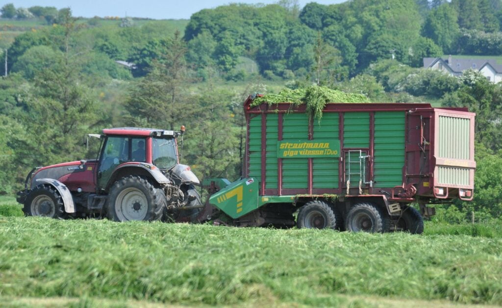 Image source: Shane Casey