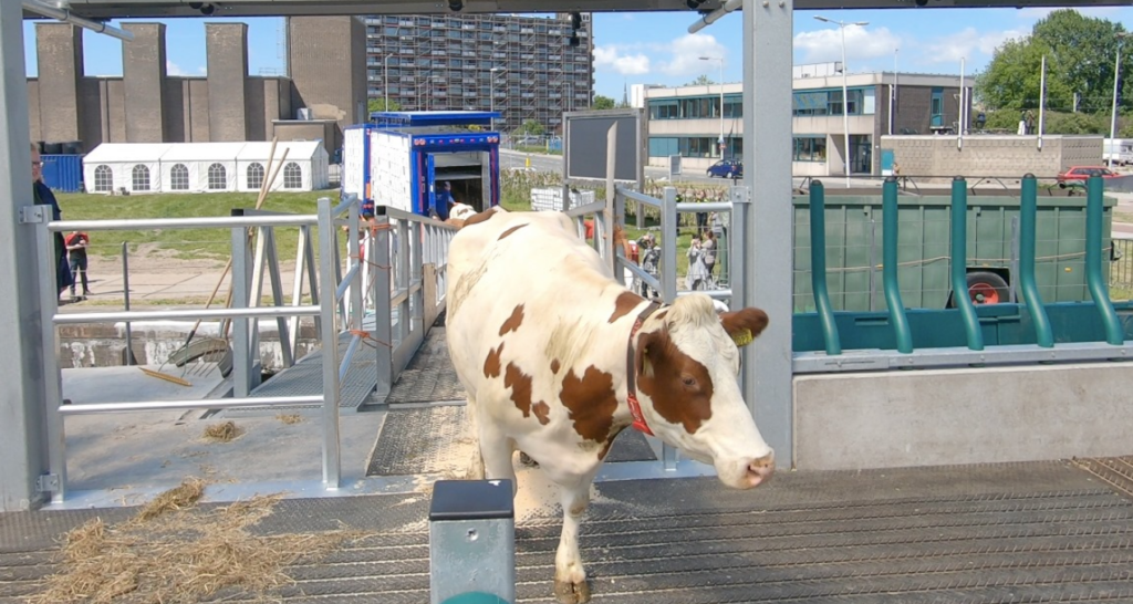 Image source: Floating Farm Rotterdam Facebook page