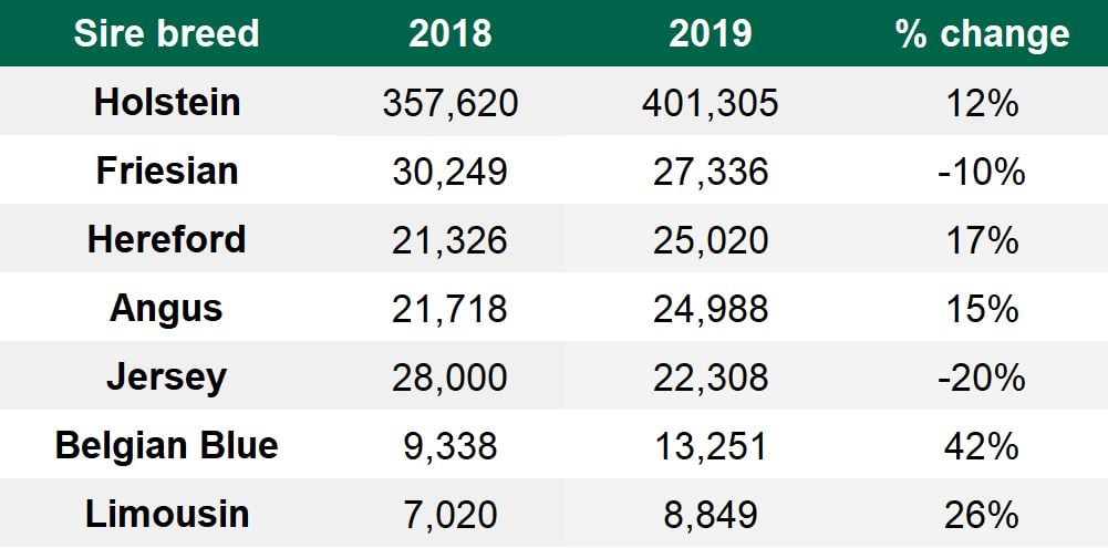 Breed by breed breakdown. Source: ICBF