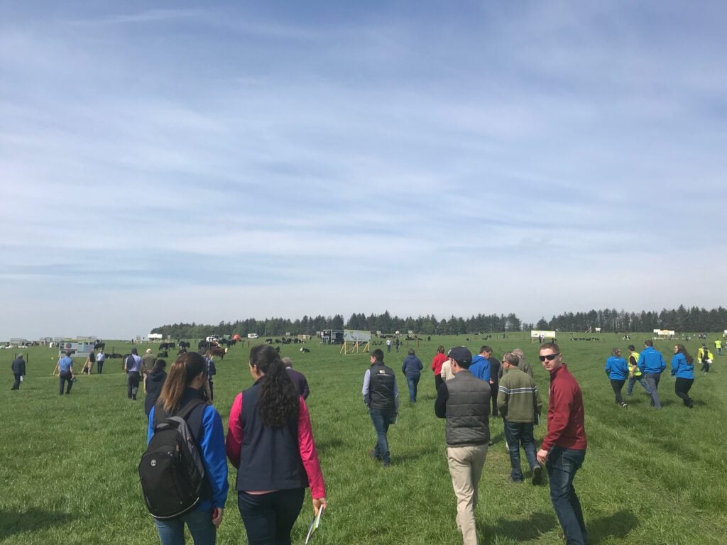 Some of the early starters at the open day in Johnstown Castle