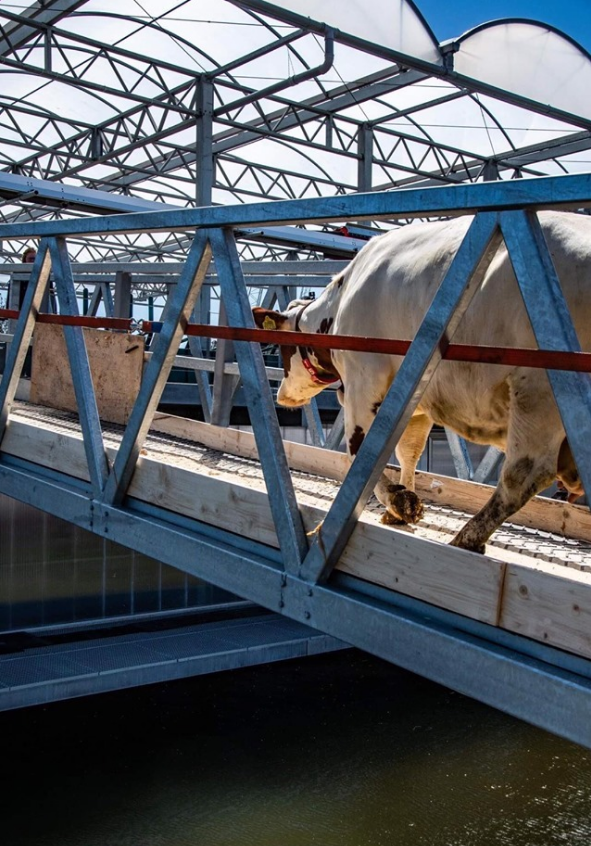 Image source: Floating Farm Rotterdam Facebook page