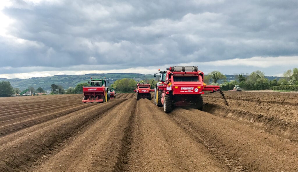 The ridger works in the background as the destoner creates a bed and Roosters are planted
