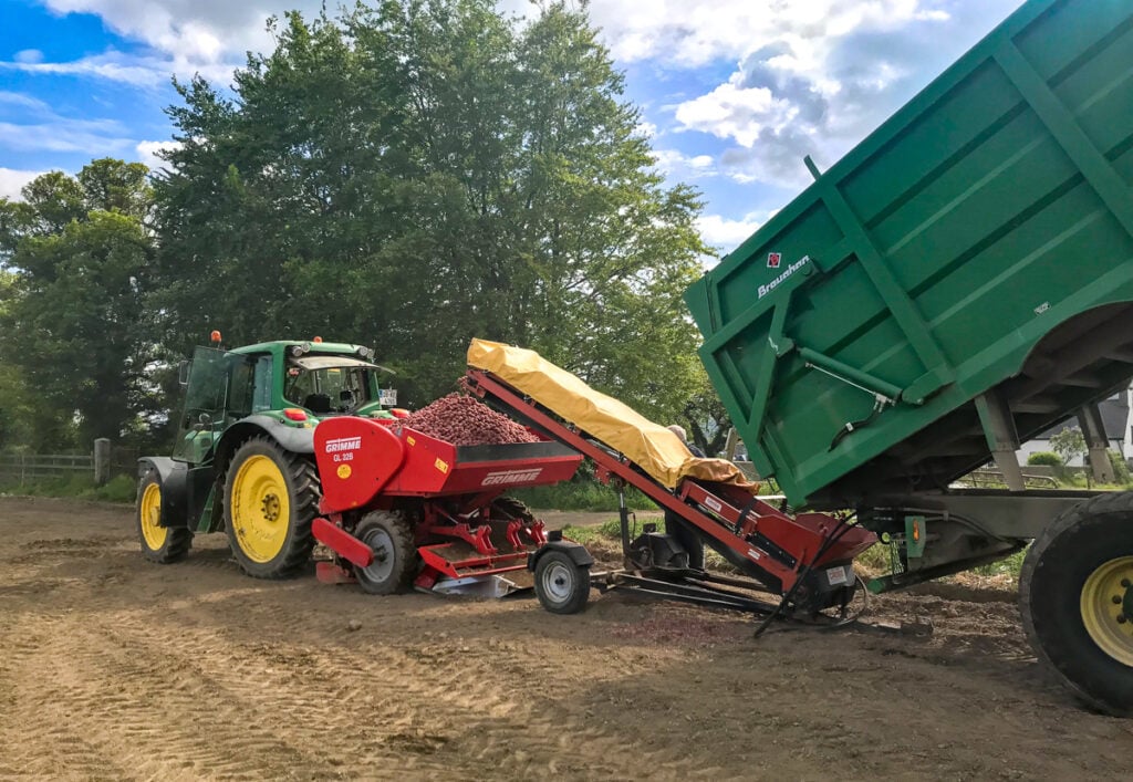 Rooster seed being loaded into the planter