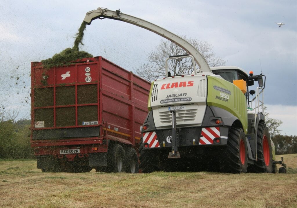 Image source: John W Anderson