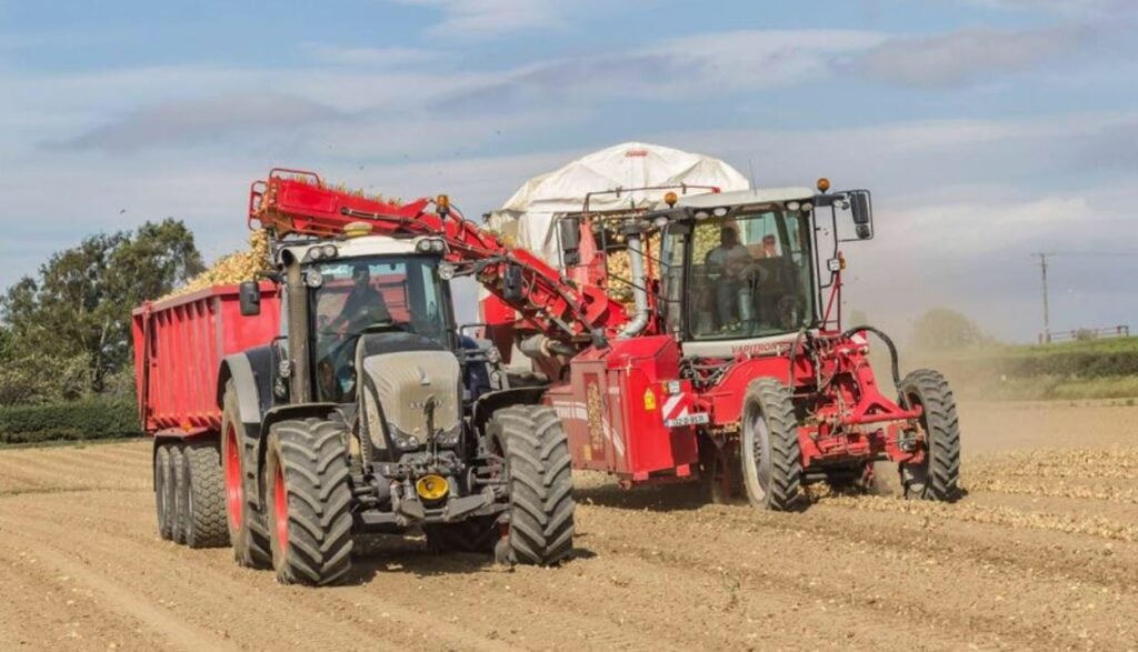 Image source: Adrian Leech