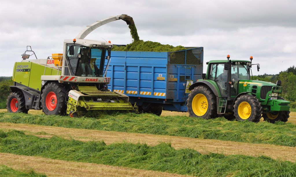 Image source: Shane Casey