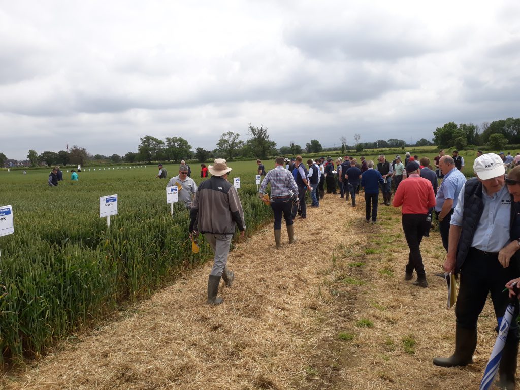 Some of the large crowd in attendance at the ISTA’s open day at the department’s farm in Backweston, Co. Kildare