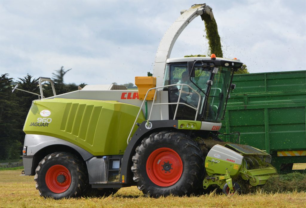 Image source: Shane Casey