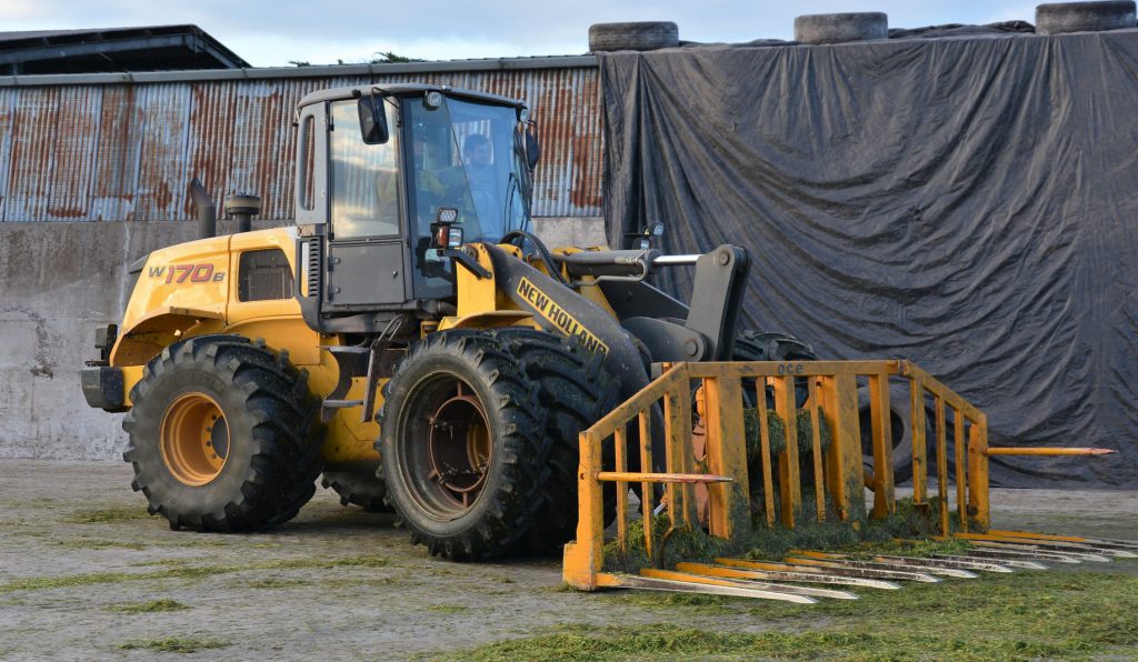 Image source: Shane Casey