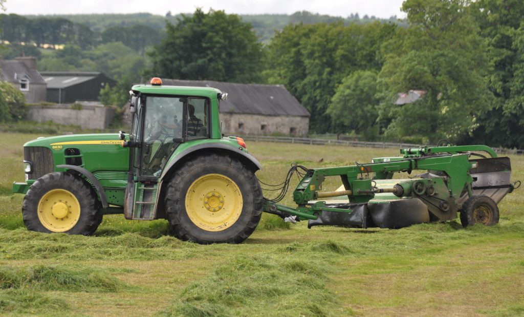 Image source: Shane Casey