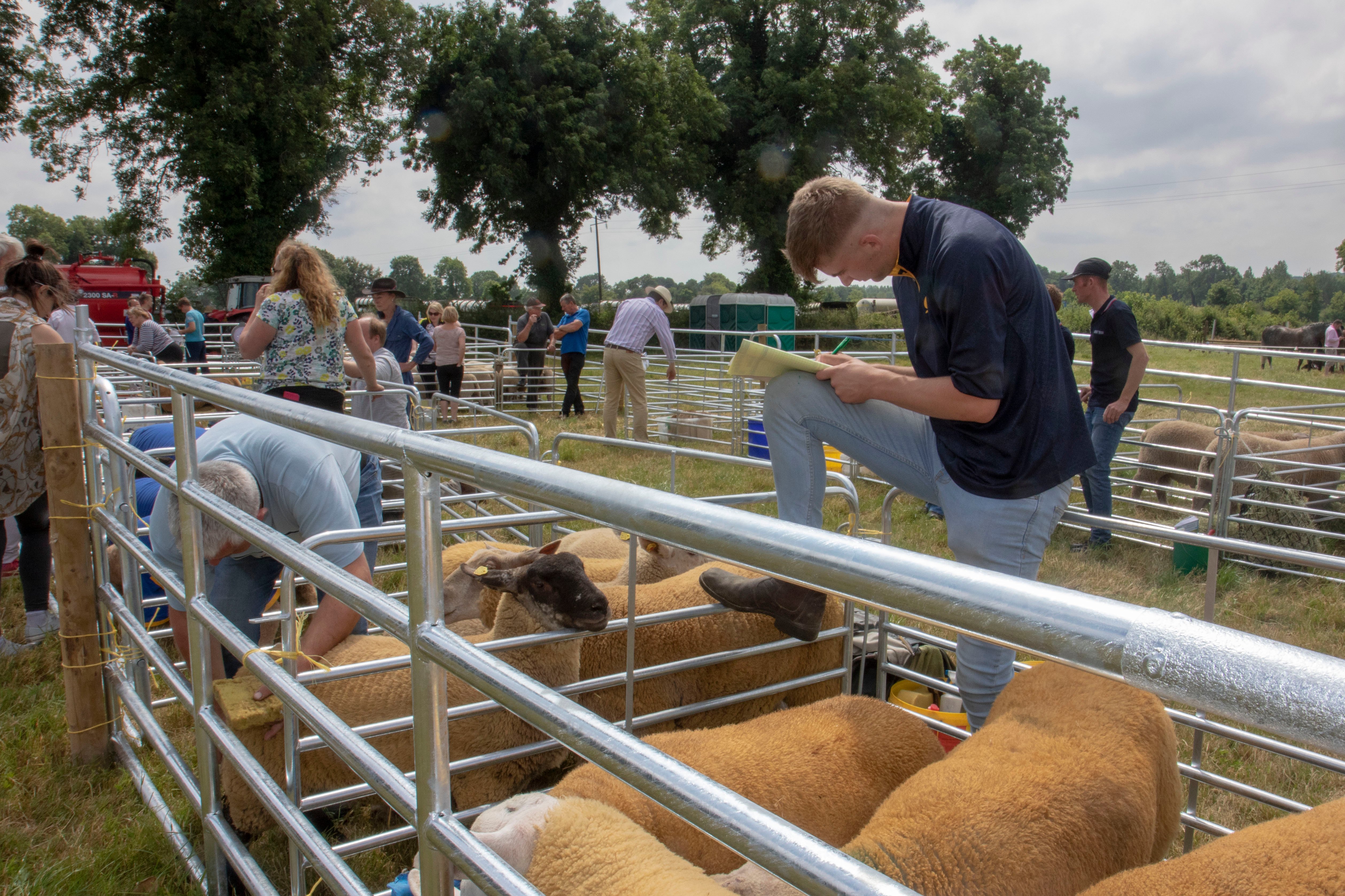Thomas Kenny filling in tag numbers with his dad Tom Kenny. Image source: Michelle Ghee