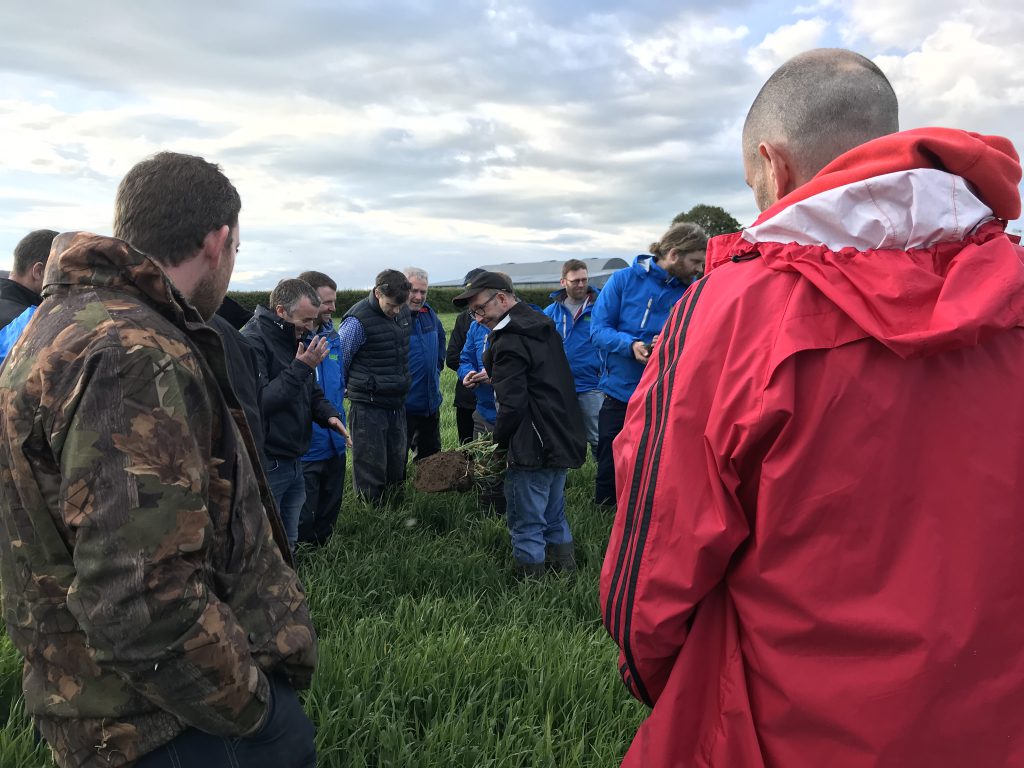 Examining the soil. Keith Swan digging down to see what’s underneath his spring barley crop