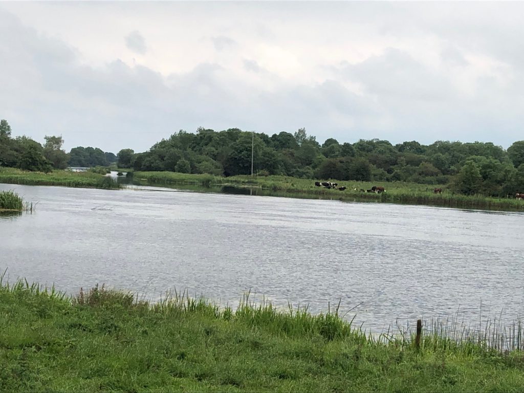 The River Shannon at Meelick, Co. Galway