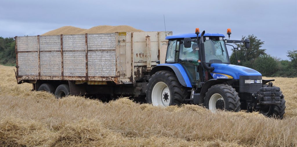 Image source: Shane Casey