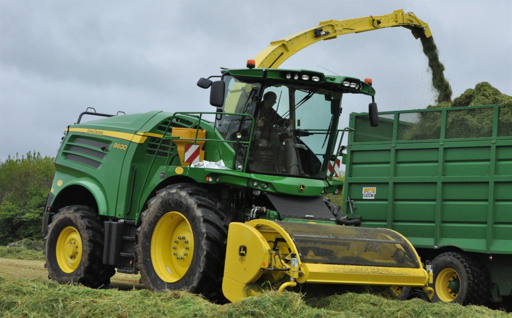 Image source: Shane Casey