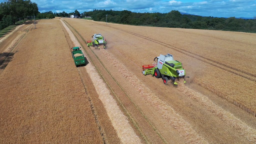 Image source: O’Gorman Photography