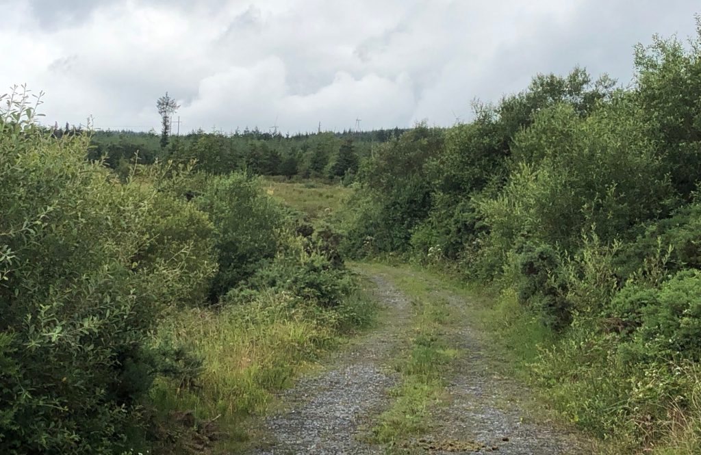 The point in the mountain at Derrybrien where the landslide began in 2003