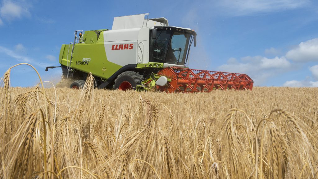 Image source: O'Gorman Photography