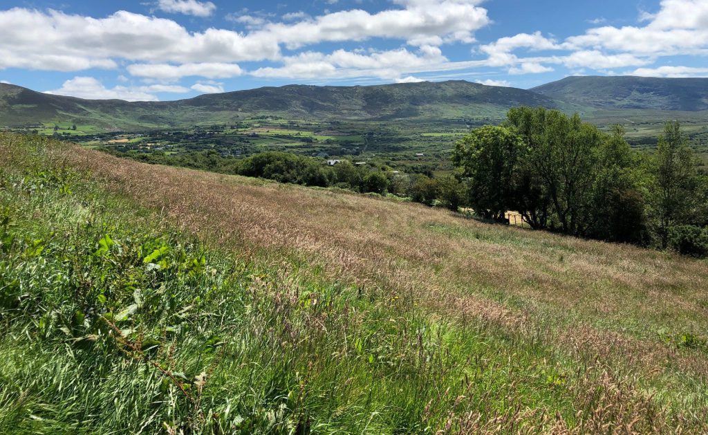 The picturesque landscape where the proposed greenway is planned