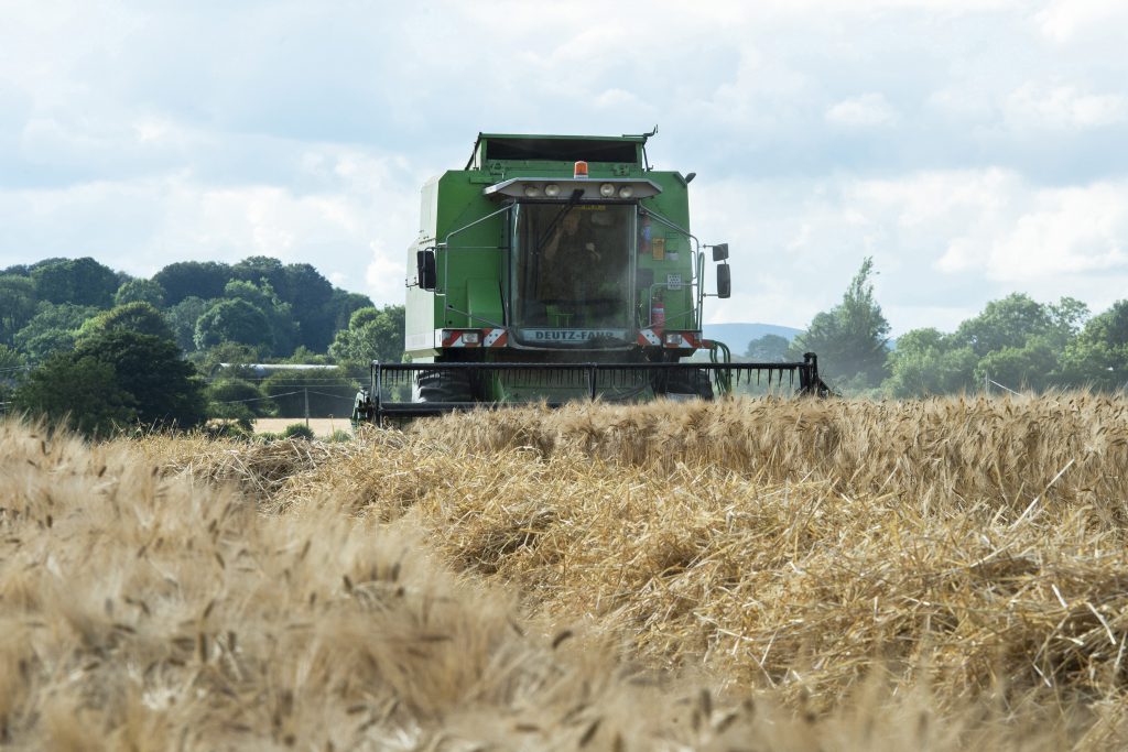 John C Byrne, Ballynamona, Newcastle, Clonmel, Co Tipperary, pictured harvesting Pixel winter barley on Tuesday evening. Image source: O’Gorman Photography